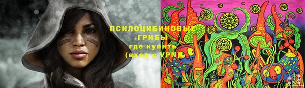 эйфоретик Алексин