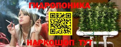 мет Дубна