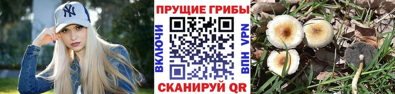 Псилоцибиновые грибы MAGIC MUSHROOMS  Муравленко 