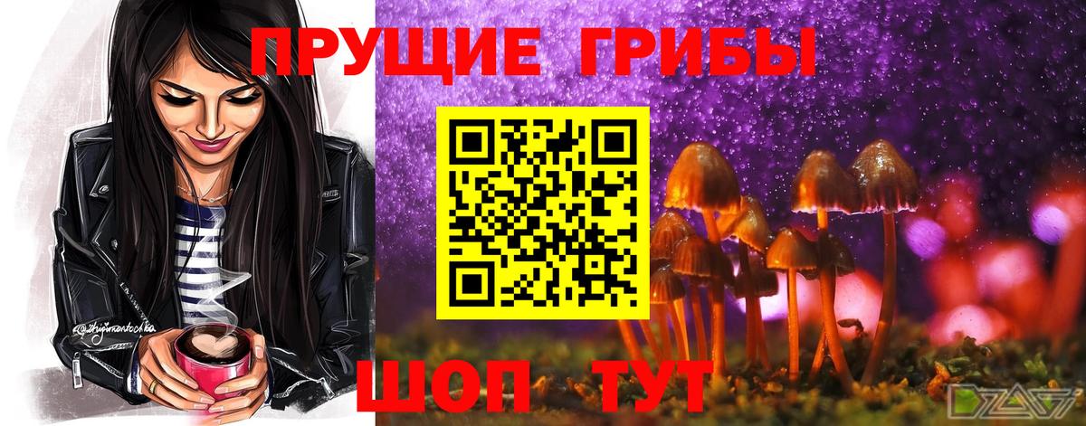 Галлюциногенные грибы Psilocybe Муравленко