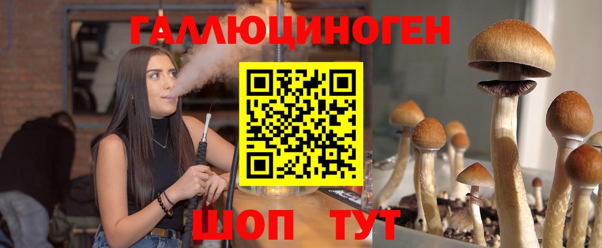 Псилоцибиновые грибы Magic Shrooms  Вход с VPN  Муравленко 